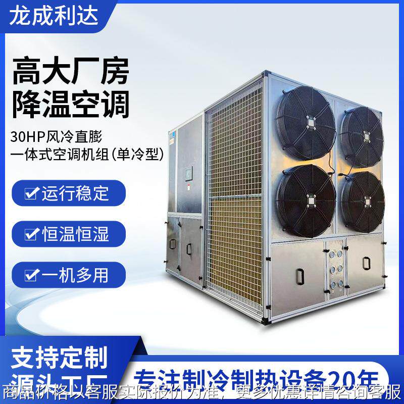 30单冷型风冷直膨一体式空调机组工业厂房实验室净化全新风空调