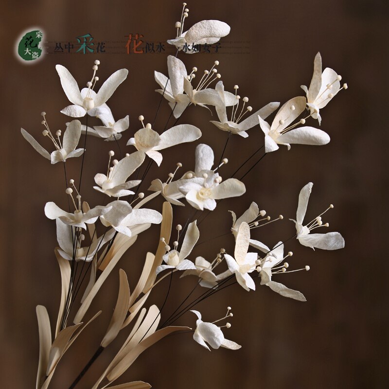蝶舞幽兰干花花束蝴蝶兰仿真花假花仿真花干花真花花落地