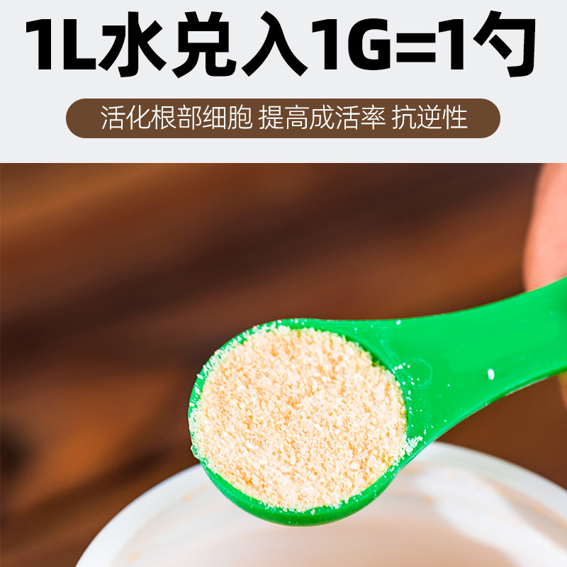 生根粉生根液植物通用强力生根剂生根壮苗剂叶面肥盆景扦插增