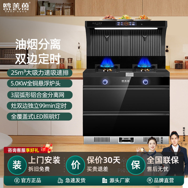 集成灶家用蒸烤一体厂家直销烟灶联动定时语音控制家用一体灶