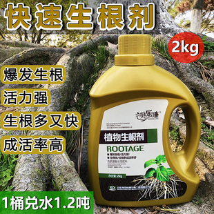植物快速生根剂果树移植定根水苗木养护营养液树木移栽扦插生根液