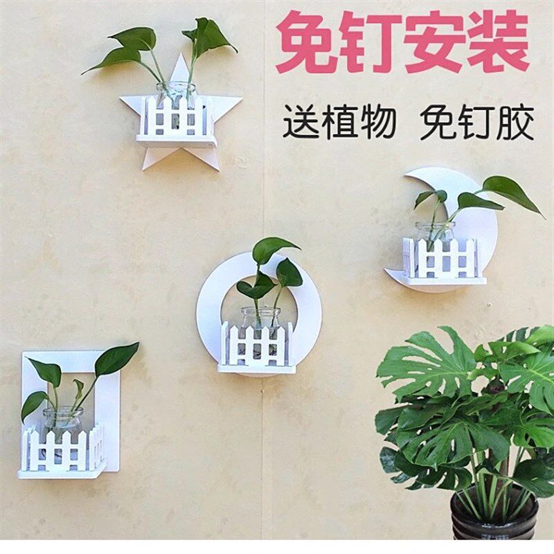 墙上绿萝挂墙墙壁花架培植物壁挂玻璃花盆花瓶