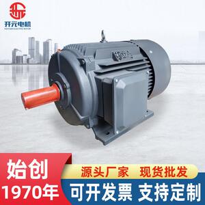 山东开元YE2电机380V低噪音三相异步电动机造纸机械设备4W电机