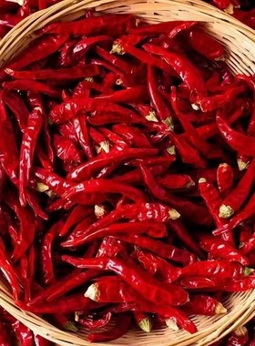 干辣椒特辣微辣魔鬼椒批发超辣小米辣香辣辣椒粉巨辣朝天椒红辣椒