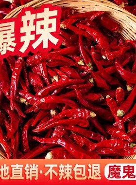 干辣椒特辣朝天椒小米辣正宗河南巨辣干红辣椒超辣辣椒粉段面批发
