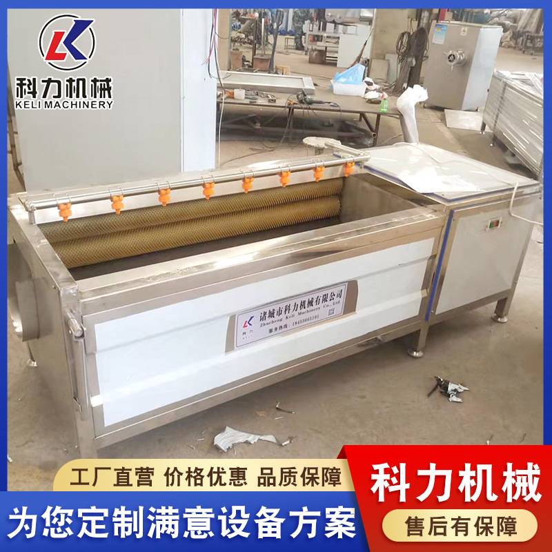 独丁子脱皮机 金铁锁清洗机器 萝卜 山药土豆清洗设备