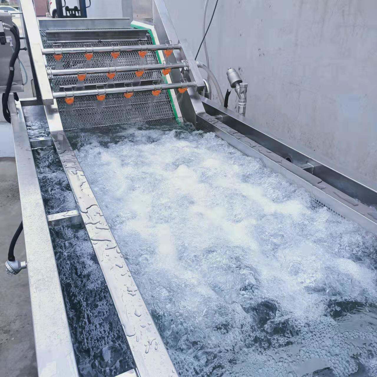 卷心菜类气泡清洗机 全自动蔬菜水果鼓泡清洗机 臭氧去农残洗菜机