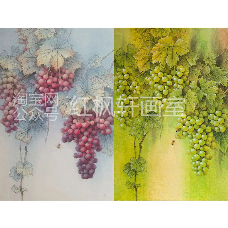 熟宣纸工笔画白描底稿葡萄螳螂蜻蜓蝴蝶蜜蜂花鸟国画手绘线描画稿