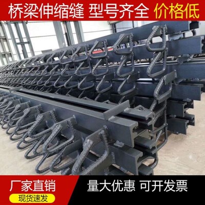 公路桥梁伸缩缝GQF-C40F60D80160240型ERG异型钢毛勒缝模数式装置