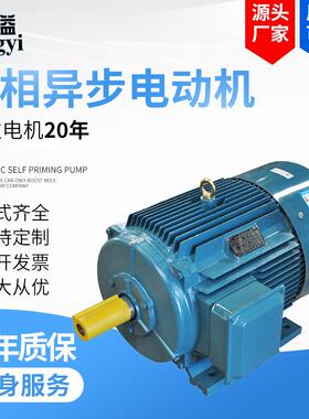 YX3/YE3-200L2-2-37W三相异步电动机