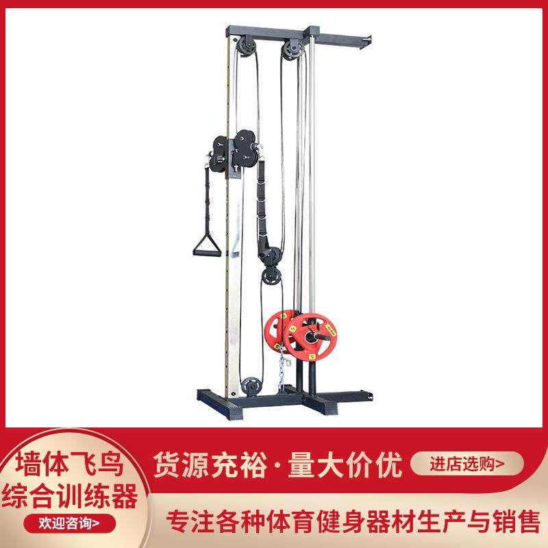 墙体大飞鸟小飞鸟下拉宽背肩夹胸肱三头肌综合健身肌肉训练器器械,运动/瑜伽/健身/球迷用品,更多中小型健身器材,淘宝优惠券,粉丝福利购,淘宝优惠卷
