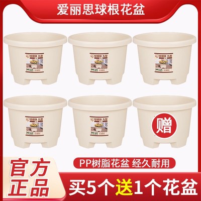 爱丽思花盆种球圆形花卉盆栽植物爱丽丝球根盆阳台塑料树脂绿植盆