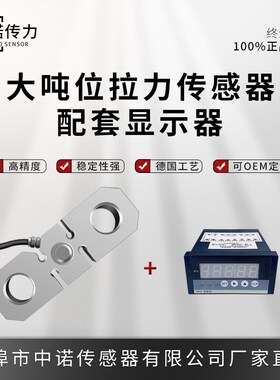 中诺传力直销大吨位拉力配显示器ZNH