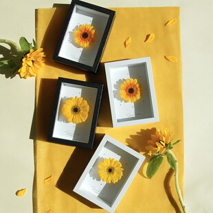 饰画送长辈朋友爱人 太阳花向阳而生永生花植物标本立体装