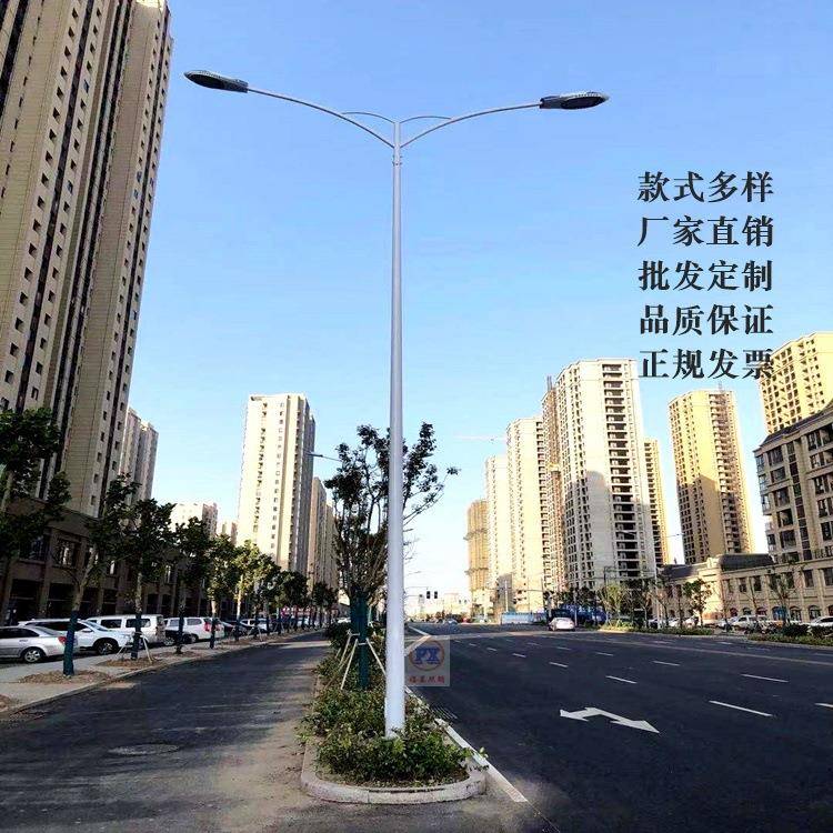 LED路灯10米12米主干道路灯杆双臂户外超亮道路景观灯高杆灯