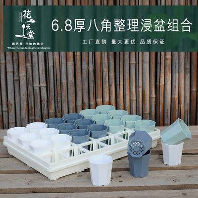 加厚八角多肉盆整理托架浸接盘盖播种育苗扦插闷养种植花盆