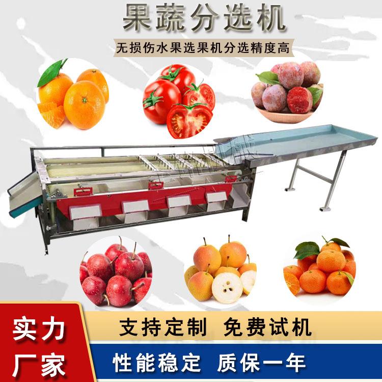 耐磨辅送带轨道式果蔬分选机 小番茄樱桃沃柑桃子分级选果机
