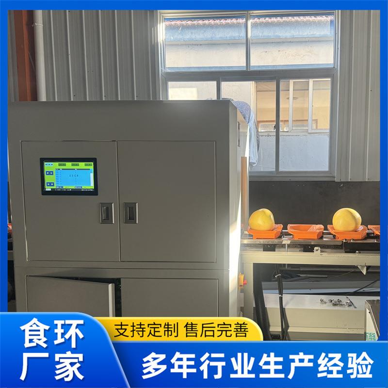 桃子无损电脑选果机 西红柿桃子梨智能分选机 芒果柚子电脑分选机