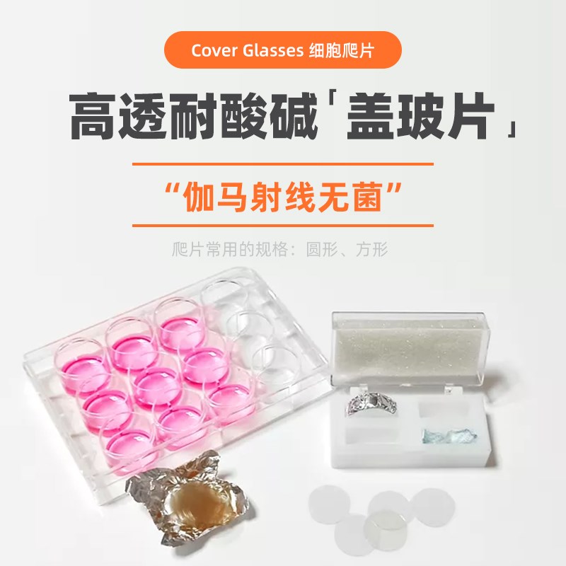 WHB TC处理6孔12孔24孔48孔96孔圆形方形细胞爬片 贴壁细胞爬片