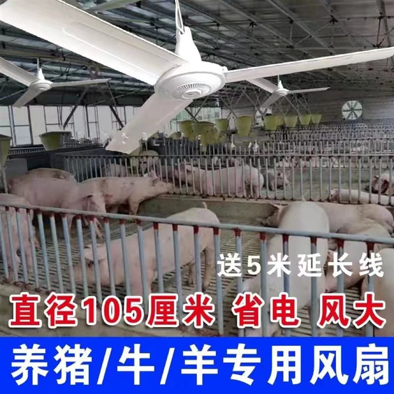 养猪场吊扇猪舍通风降温散热电风扇养殖场三叶工厂挂扇
