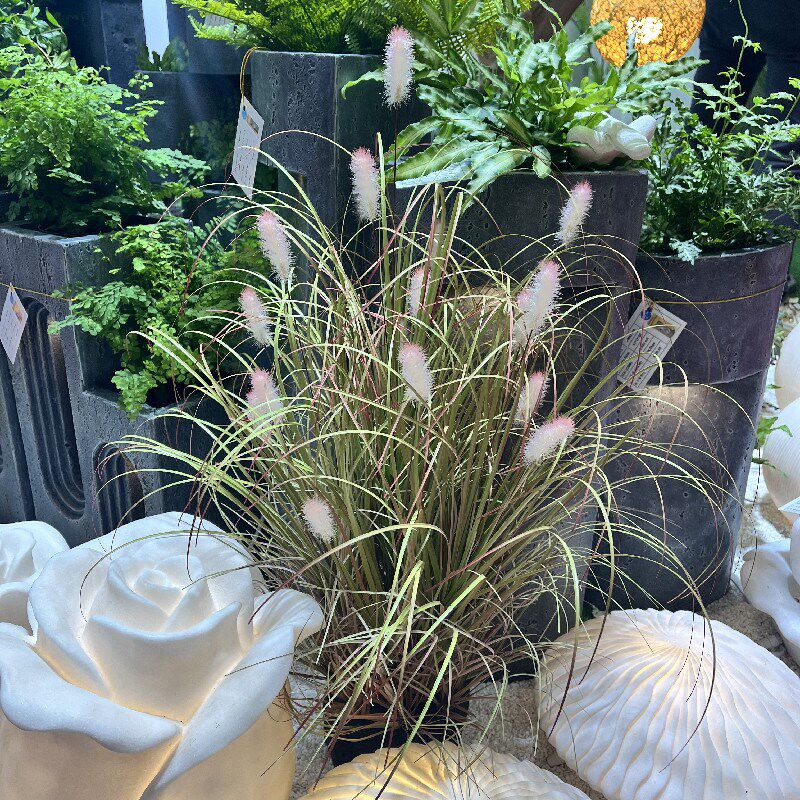 仿真狗尾草团落地造景秋色系菖蒲草芦苇草毛毛草狗尾巴草绿植
