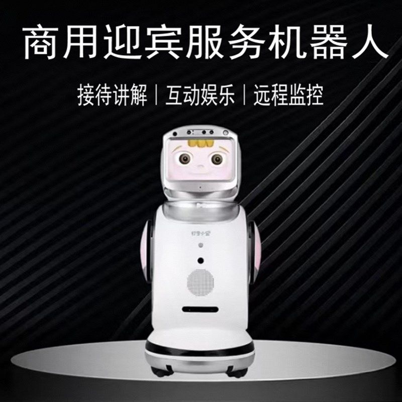 机器人语音交互宝商用幼儿园对话讲解迎宾接待陪伴