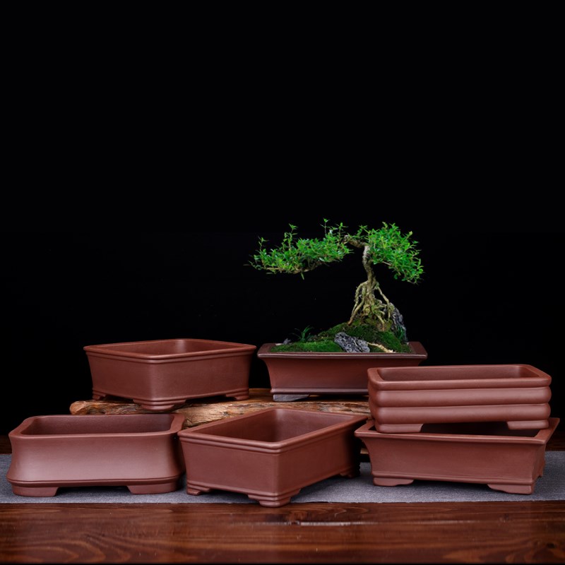 紫砂花盆室内假盆景盆精品长方形四方简约花卉绿植