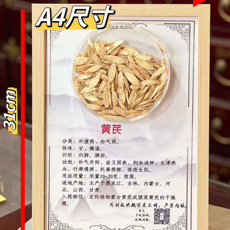 中药标本教馆标本相框中药材画文化墙标本挂画中药品