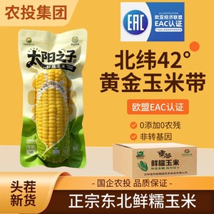 【农投集团】正宗东北黄糯玉米240-280g*8棒