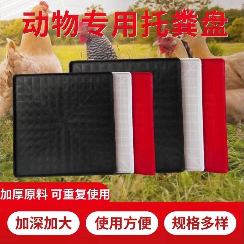 鸡用接粪板塑料托 托盘育雏鸽子狗猫兔笼屎拖板鸡鸭鹅小鸡托 托粪,畜牧/养殖物资,畜牧/养殖器械,淘宝优惠券,粉丝福利购,淘宝优惠卷