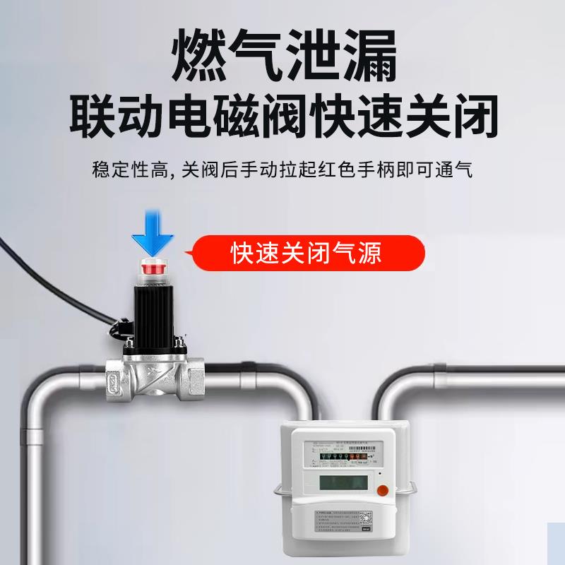 开放式厨房复合式燃气报警器甲烷一氧化碳煤气泄露检测联动切断阀