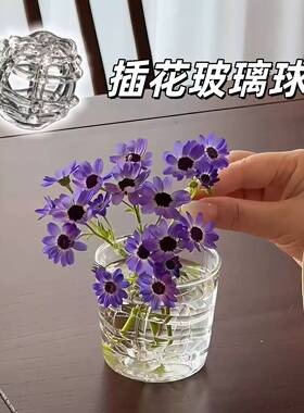 插花玻璃球花枝固定神器艺术透明