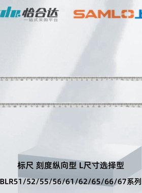 怡合达标尺BLR51/52/55/56/61/62/65/66/67-L100 300 刻度纵向型