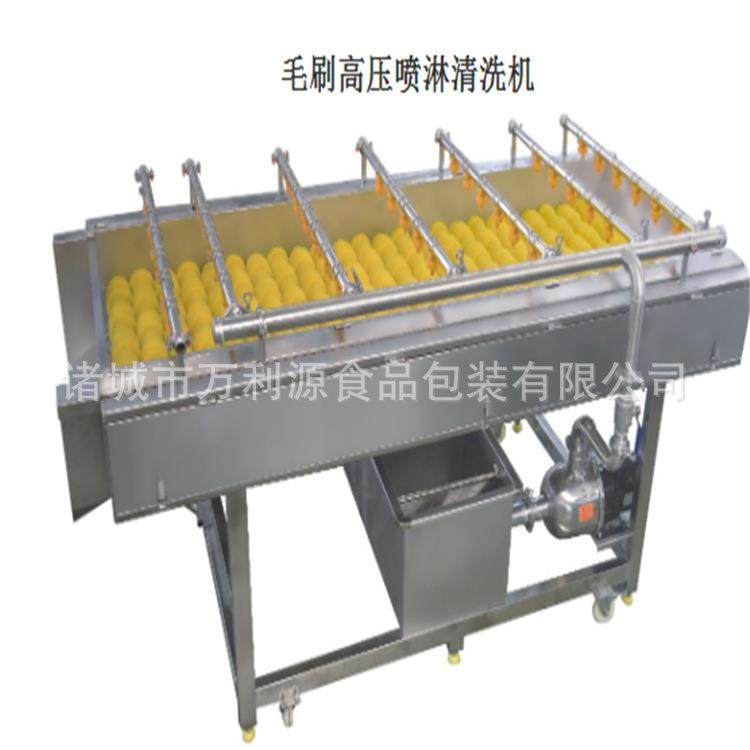 设计毛刷清洗设备不锈钢喷淋毛辊清洗设备红景天清洗机