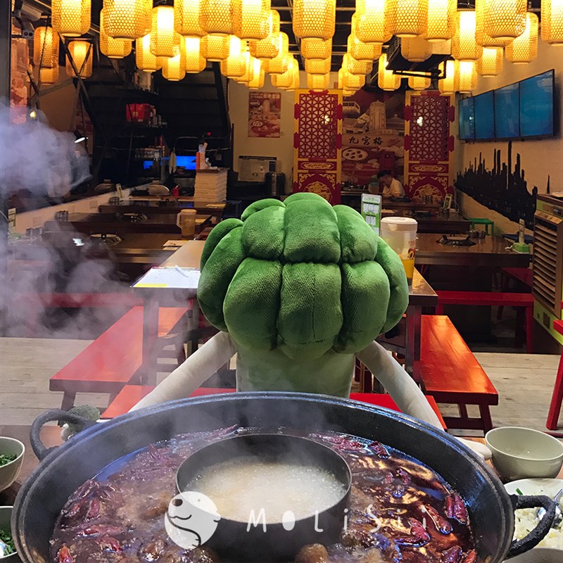 Molisii茉莉絲-美味抱枕-菜花君 靠垫短毛绒沙发装饰床上靠背礼物