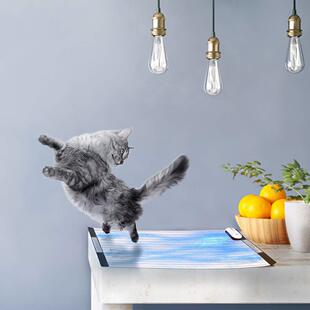 防止猫乱拉乱尿防猫上床神器隔离自动驱赶智能不让狗狗上沙发上桌