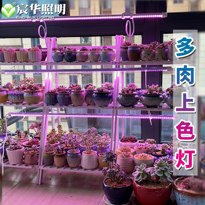 宸华植物生长多肉补光灯仿太阳全光谱花卉上色育苗家用防徒室内