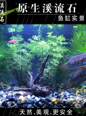 鱼池底部装饰品石头鱼缸里的庭院造景阳台摆件水缸水池小院流水景