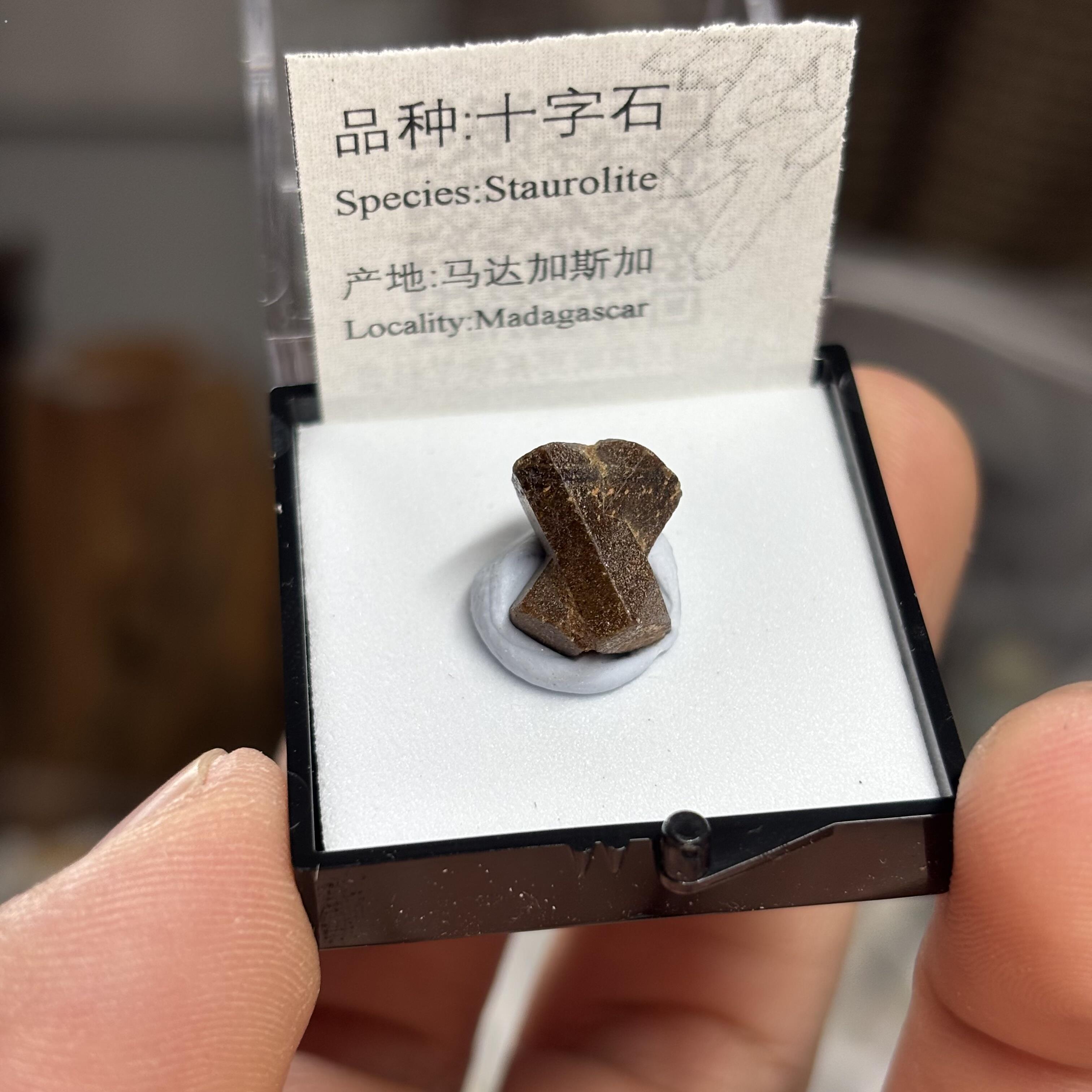 十字石天然矿物晶体标本盒子矿猫矿石原石宝石能量石晶石教学