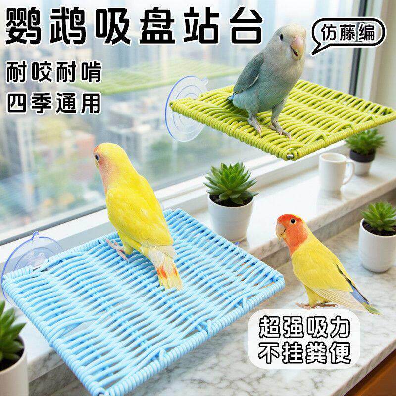 新款宠物鹦鹉吸盘休息台网格底网不挂粪便超强吸窗面悬挂鸟笼挂饰