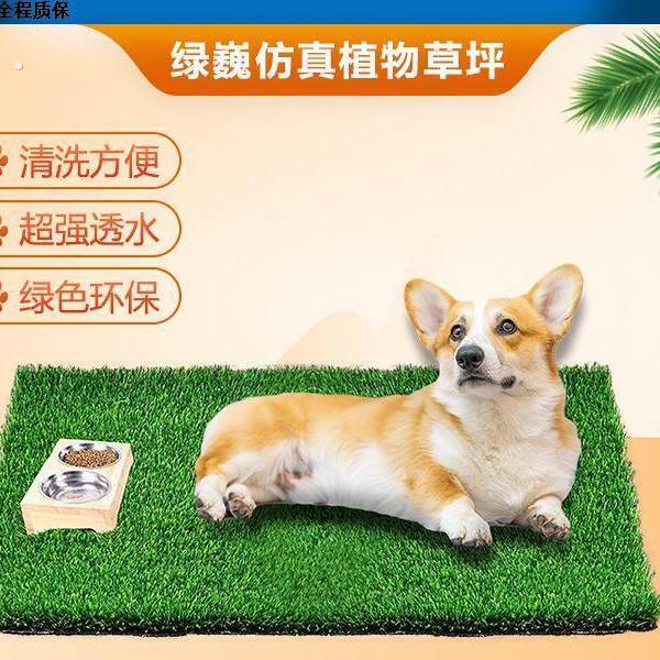草坪狗厕所宠物狗假尿尿大小便可清洗彷真草坪训练上厕所拉屎神器