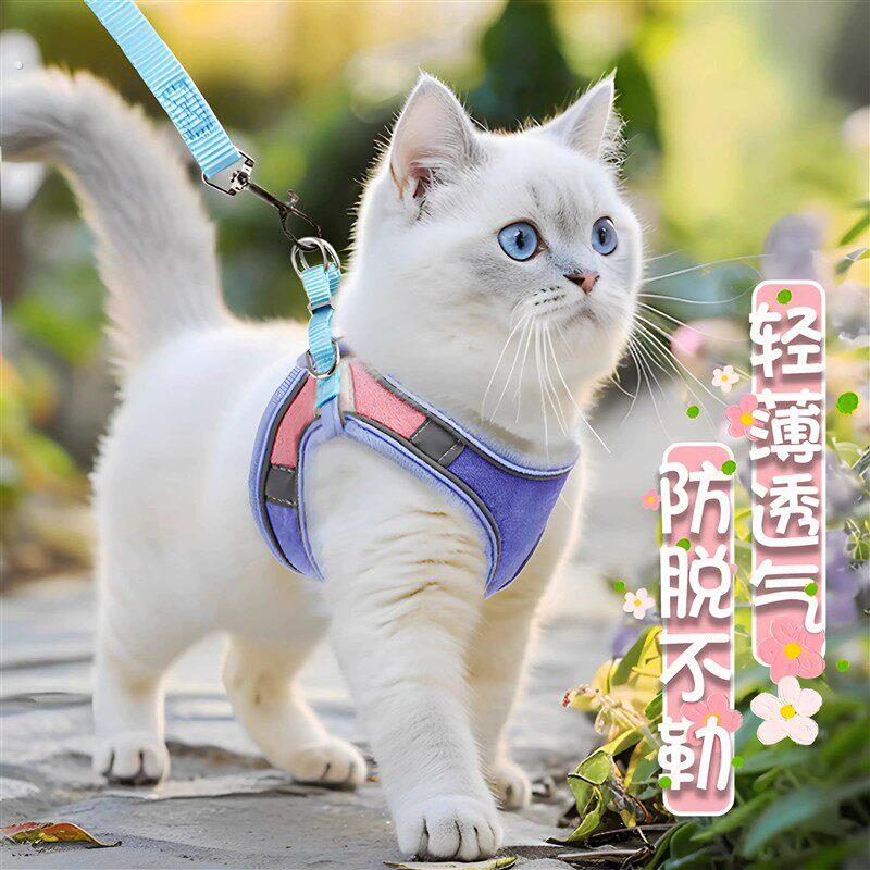 猫咪牵引绳溜猫绳猫背带背心式胸背防挣脱猫咪专用兔子狗狗外出用