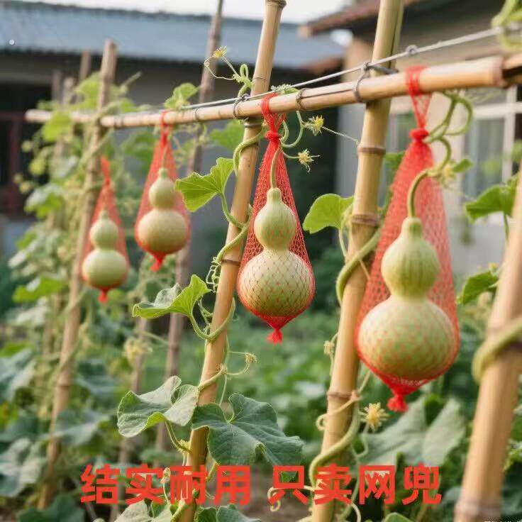 葫芦防坠网兜大葫芦专用编织托网红薯板栗分装袋绳红黄色纱网袋