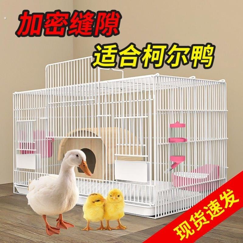 养芦丁鸡笼子饲养专用笼家用室内大号雏鸡雏鸭小鸭小鸡宠物笼加密