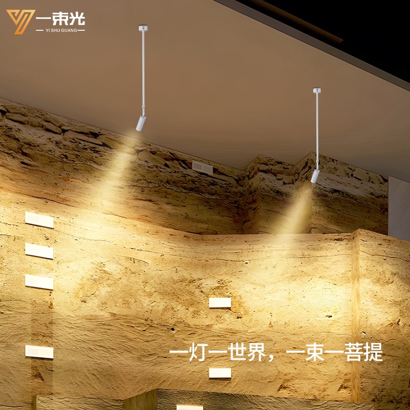 一束光聚光射灯明装客厅茶室专用博物馆氛围餐饮吸顶长杆摆头吊灯