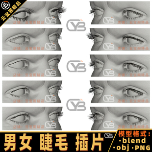 影视级西方男女睫毛插片毛发3D模型Blend颜色高光法线贴图素材obj