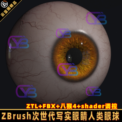 ZBrush次写实世代人类眼球眼睛zb模型ZTL,FBX附八猴4+shader调控