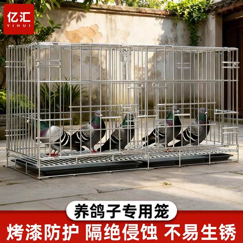 新型鸽子笼家用大号特大养殖笼配对笼鸽笼可折叠加密养鸽子专用笼