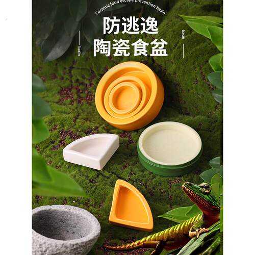 爬宠水盆防逃逸食盆角蛙造景盆寄居蟹泡澡盆陶瓷盆守宫
