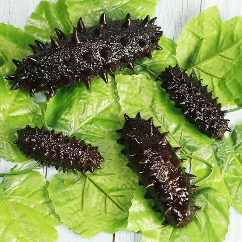 彷真海参模型大辽参刺参塑料假海鲜道具食物饭店酒店菜品样式摆件,家居饰品,仿真水果,淘宝优惠券,粉丝福利购,淘宝优惠卷